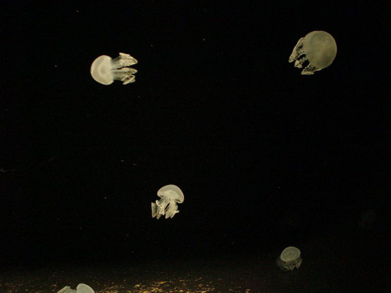 DSC00050