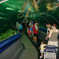 DSC00053