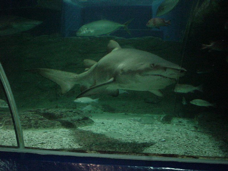 DSC00061