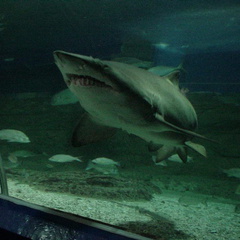 DSC00062