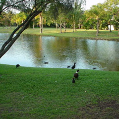 DSC00066