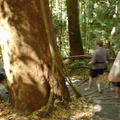 DSC00088