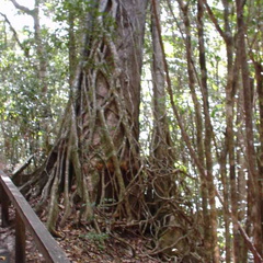 DSC00093