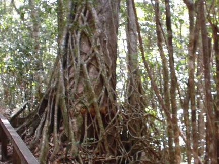 DSC00093
