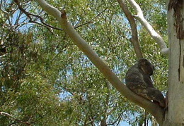 DSC00106