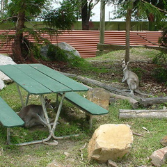 DSC00109
