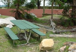 DSC00109