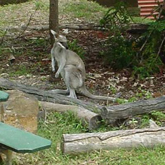 DSC00110