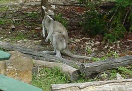 DSC00110
