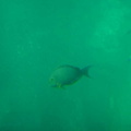 DSC00134