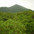 DSC00156