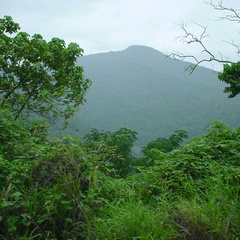 DSC00161