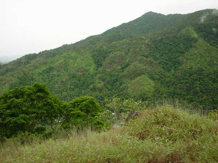 DSC00169