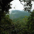 Dsc00306