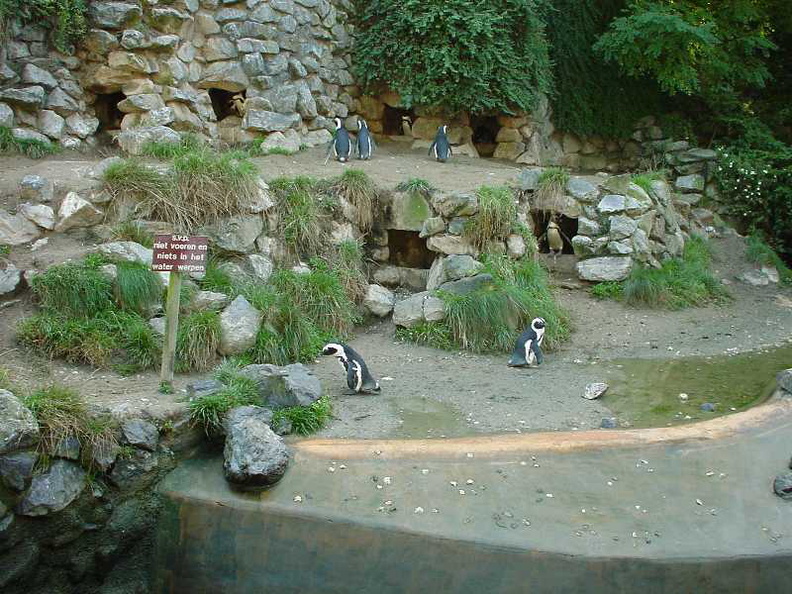 DSC00007