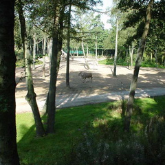 DSC00010