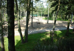 DSC00010