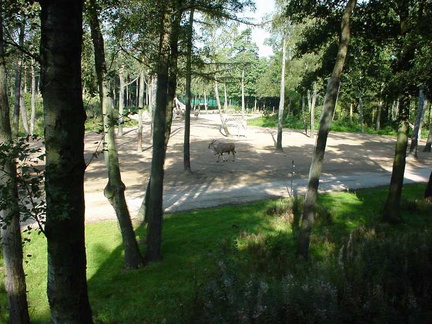DSC00010