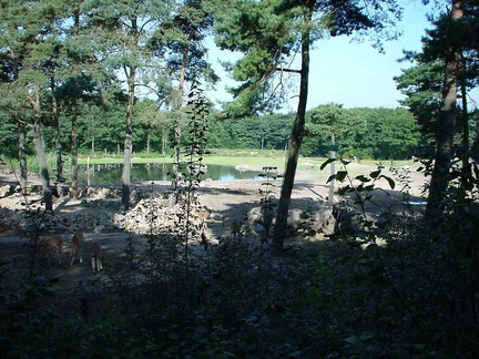 DSC00011