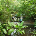 DSC00033