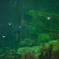 DSC00036