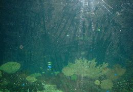 DSC00037