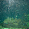 DSC00038