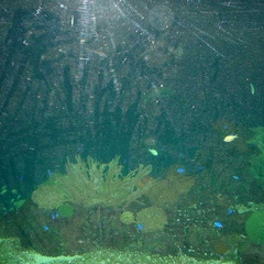 DSC00038
