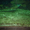 DSC00039