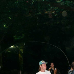 DSC00040