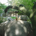 DSC00180