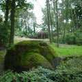 DSC00183