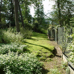 Dsc00171