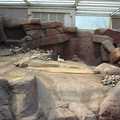 Dsc00174