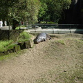 Dsc00178