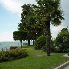 DSC00174
