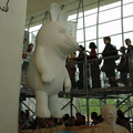 DSC00015