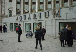 Aquarium