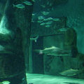 Haifischbecken