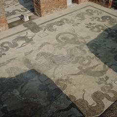 DSC00089