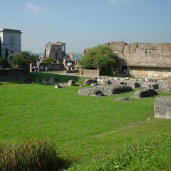 DSC00020