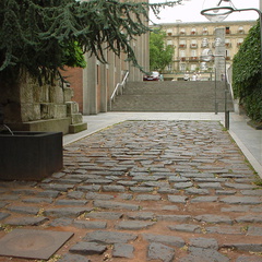 DSC00029