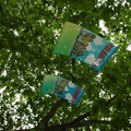 DSC00047