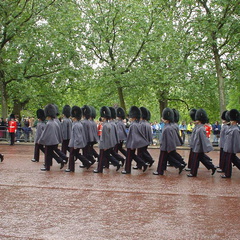 DSC00011