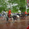 DSC00020