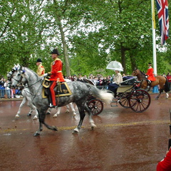 DSC00020
