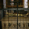 DSC00172