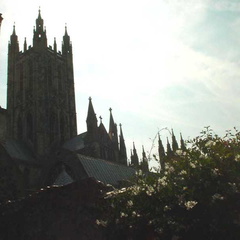 DSC00174