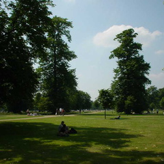 DSC00202