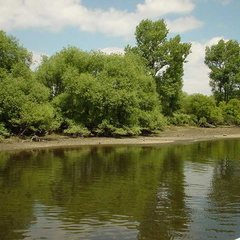 DSC00125